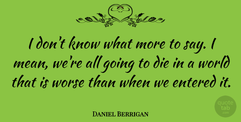 Daniel Berrigan Quote About Entered: I Dont Know What More...