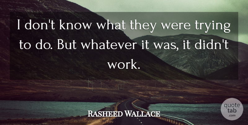 Rasheed Wallace Quote About Trying, Whatever: I Dont Know What They...