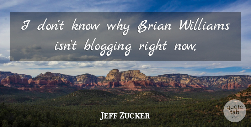Jeff Zucker Quote About Blogging, Brian, Williams: I Dont Know Why Brian...