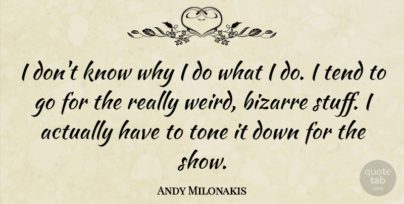 Andy Milonakis Quote About Stuff, Tone, Bizarre: I Dont Know Why I...