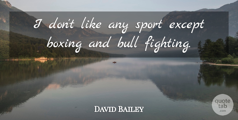 David Bailey Quote About Sports, Fighting, Boxing: I Dont Like Any Sport...