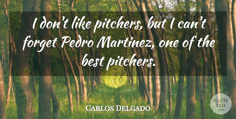 Carlos Delgado Quote About Best, Forget: I Dont Like Pitchers But...