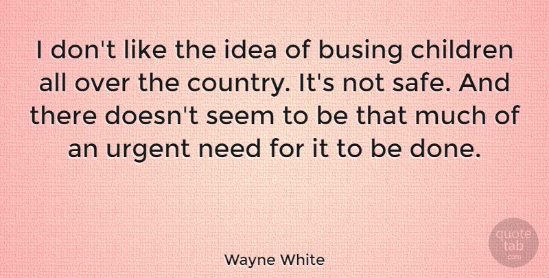Wayne White Quote About Country, Children, Ideas: I Dont Like The Idea...
