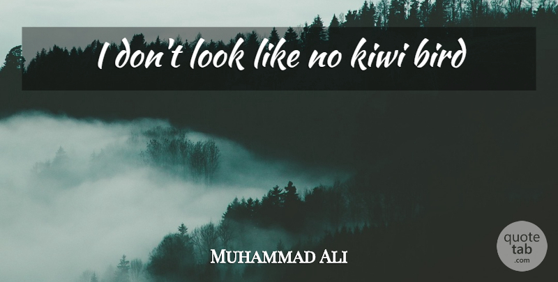 Muhammad Ali Quote About Bird, Kiwi, Looks: I Dont Look Like No...