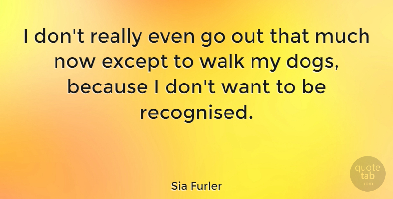 Sia Furler Quote About Dog, Want, My Dog: I Dont Really Even Go...