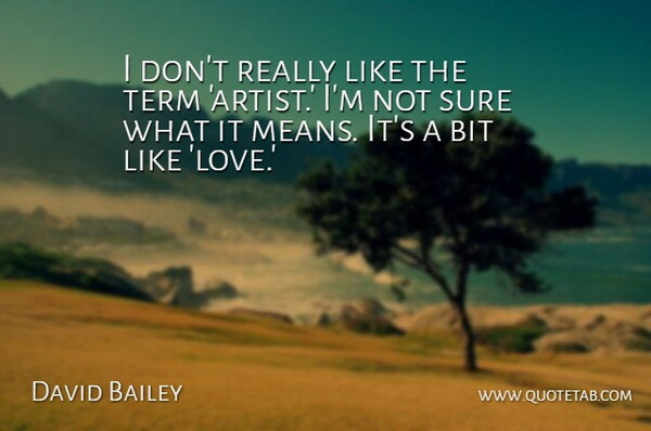 David Bailey Quote About Bit, Love, Term: I Dont Really Like The...