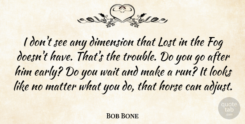 Bob Bone Quote About Dimension, Fog, Horse, Looks, Lost: I Dont See Any Dimension...