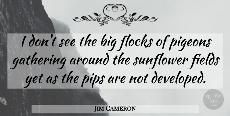 Jim Cameron Quote About Fields, Gathering, Pigeons: I Dont See The Big...