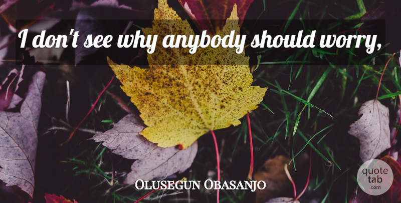 Olusegun Obasanjo Quote About Worry, Should: I Dont See Why Anybody...