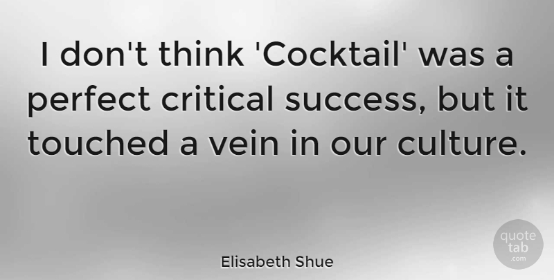 Elisabeth Shue Quote About Critical, Success, Touched, Vein: I Dont Think Cocktail Was...