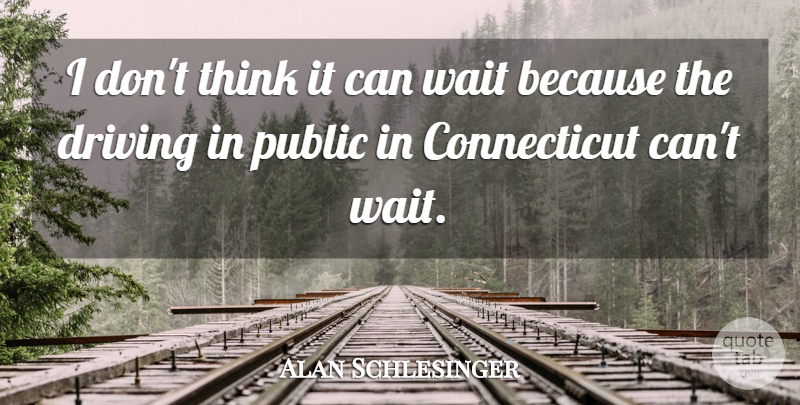 Alan Schlesinger Quote About Driving, Public, Wait: I Dont Think It Can...