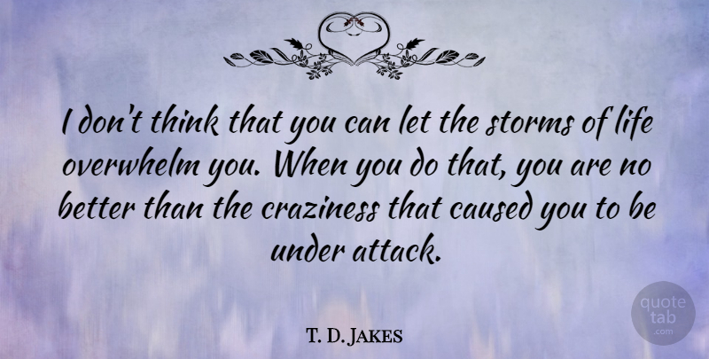 T. D. Jakes Quote About Thinking, Storm, Craziness: I Dont Think That You...