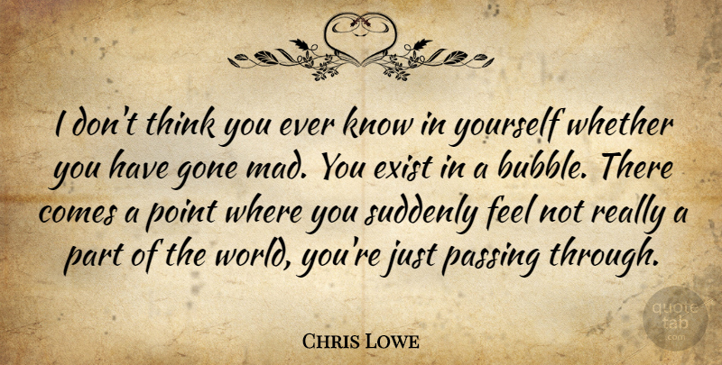 Chris Lowe Quote About Thinking, Mad, Gone: I Dont Think You Ever...
