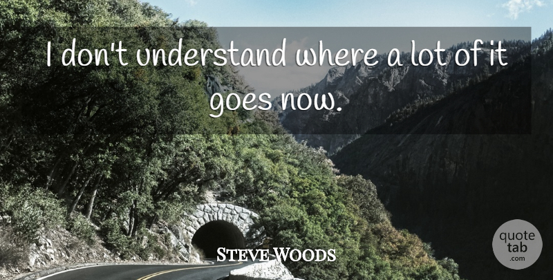 Steve Woods Quote About Goes, Understand: I Dont Understand Where A...