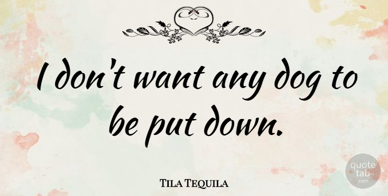 Tila Tequila Quote About Dog, Want, Tequila: I Dont Want Any Dog...