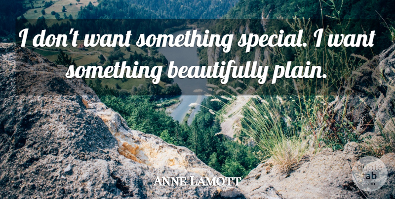 Anne Lamott Quote About Want Something, Design, Special: I Dont Want Something Special...