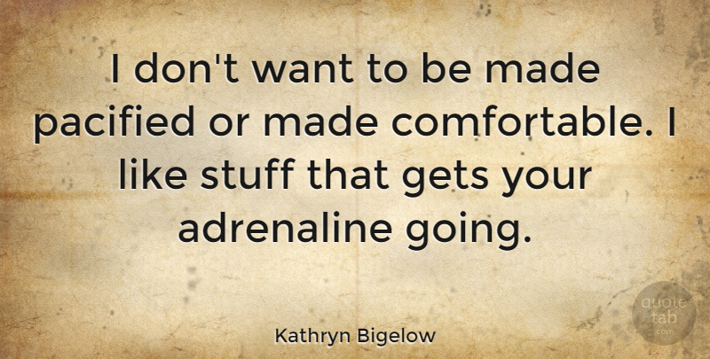 Kathryn Bigelow Quote About Want, Stuff, Made: I Dont Want To Be...