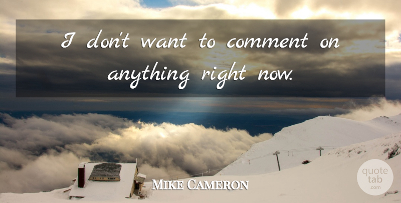 Mike Cameron Quote About Comment: I Dont Want To Comment...
