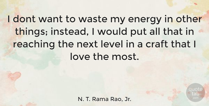 N. T. Rama Rao, Jr. Quote About Next Level, Levels, Crafts: I Dont Want To Waste...
