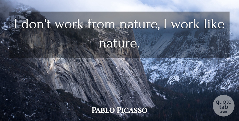 Pablo Picasso Quote About undefined: I Dont Work From Nature...