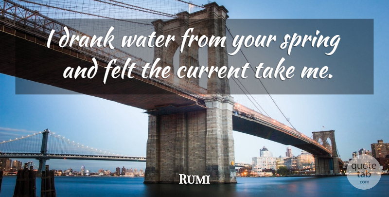 Rumi Quote About Spring, Water, Currents: I Drank Water From Your...