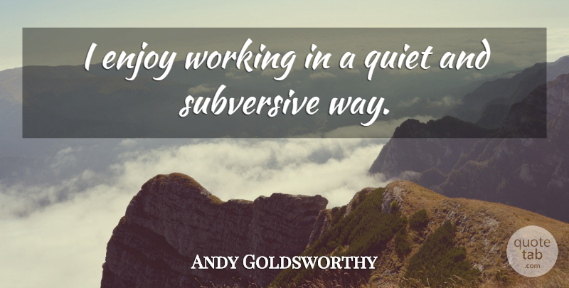 Andy Goldsworthy Quote About Way, Quiet, Introvert: I Enjoy Working In A...