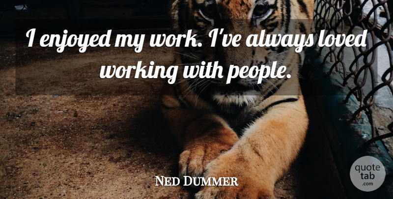 Ned Dummer Quote About Enjoyed, Loved: I Enjoyed My Work Ive...