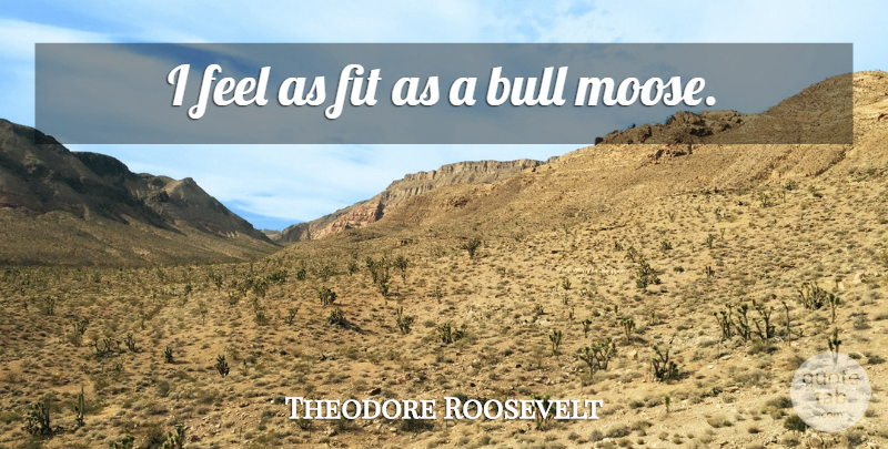Theodore Roosevelt Quote About Presidential, Bulls, Moose: I Feel As Fit As...