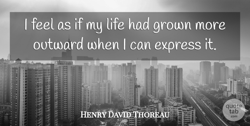 Henry David Thoreau Quote About Life, Feels, I Can: I Feel As If My...