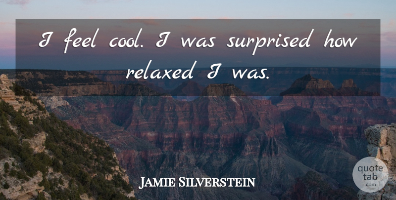 Jamie Silverstein Quote About Relaxed, Surprised: I Feel Cool I Was...