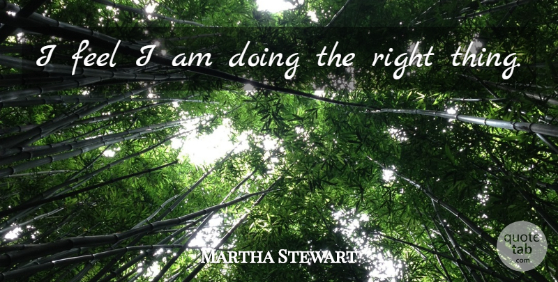 Martha Stewart Quote About undefined: I Feel I Am Doing...