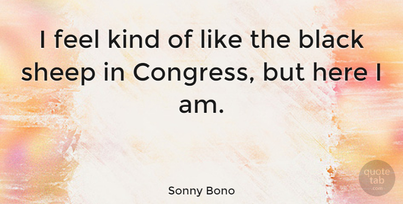 Sonny Bono Quote About Here I Am, Sheep, Black: I Feel Kind Of Like...