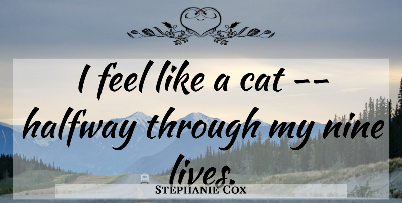 Stephanie Cox Quote About Cat, Halfway, Nine: I Feel Like A Cat...