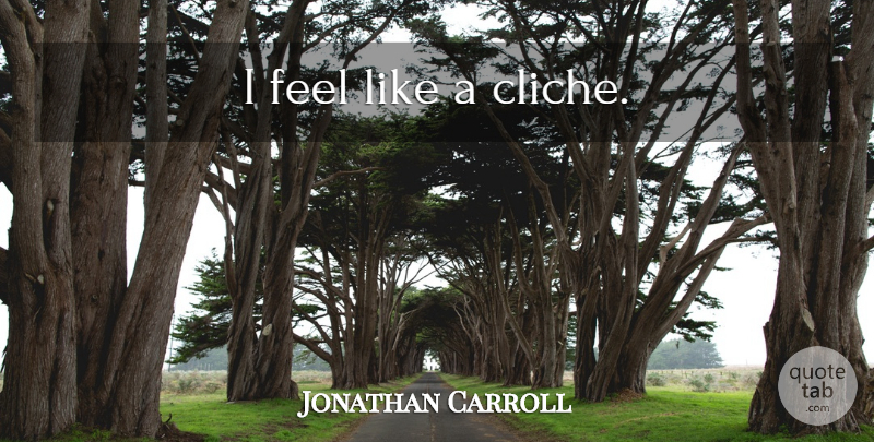 Jonathan Carroll Quote About Cliche, Feels: I Feel Like A Cliche...