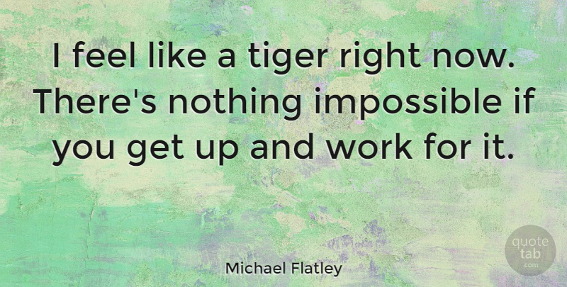 Michael Flatley Quote About Impossible, Get Up, Feels: I Feel Like A Tiger...