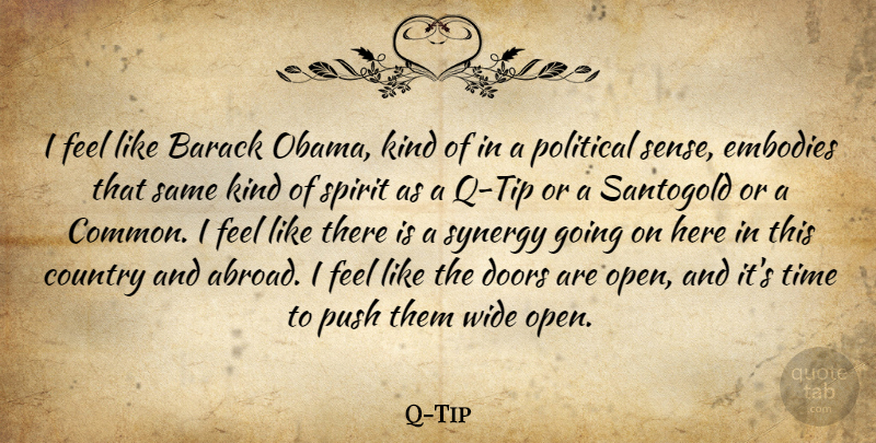 Q-Tip Quote About Barack, Country, Embodies, Push, Spirit: I Feel Like Barack Obama...