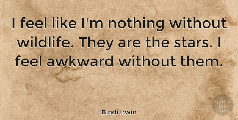 Bindi Irwin Quote About Nature, Stars, Awkward: I Feel Like Im Nothing...