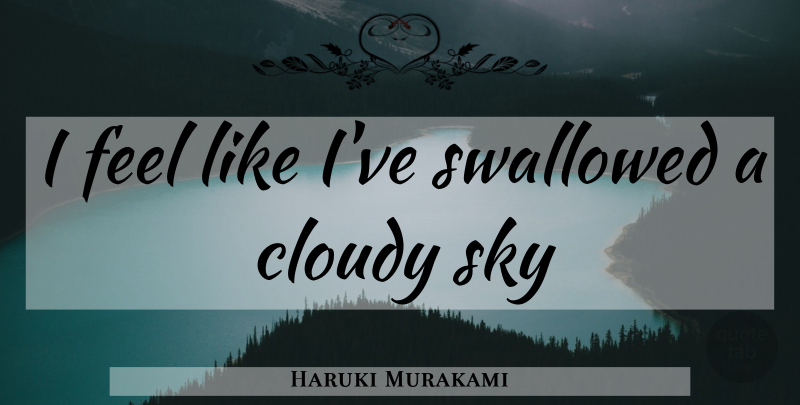 Haruki Murakami Quote About Sky, Cloudy Skies, Cloudy: I Feel Like Ive Swallowed...