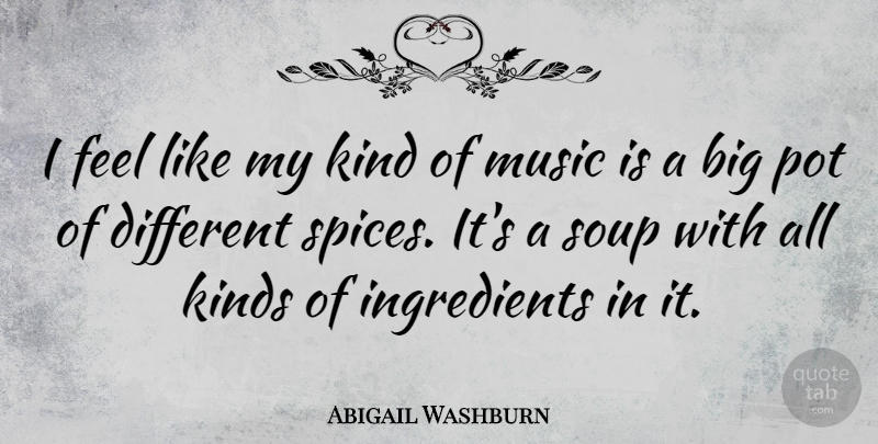 Abigail Washburn Quote About Music, Pot: I Feel Like My Kind...