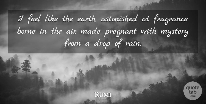 Rumi Quote About Rain, Air, Earth: I Feel Like The Earth...