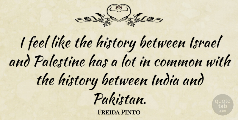 Freida Pinto Quote About India And Pakistan, Israel, Common: I Feel Like The History...