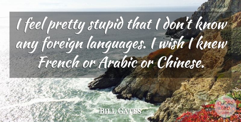 Bill Gates Quote About Stupid, Chinese, Wish: I Feel Pretty Stupid That...