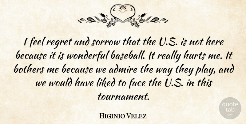 Higinio Velez Quote About Admire, Bothers, Face, Hurts, Liked: I Feel Regret And Sorrow...