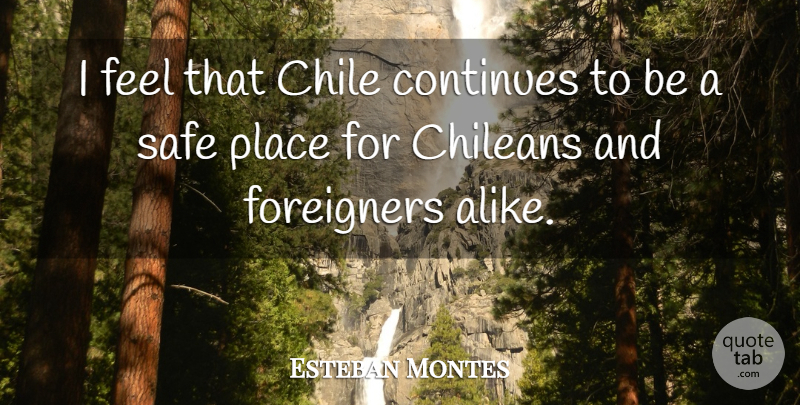 Esteban Montes Quote About Chile, Continues, Foreigners, Safe: I Feel That Chile Continues...