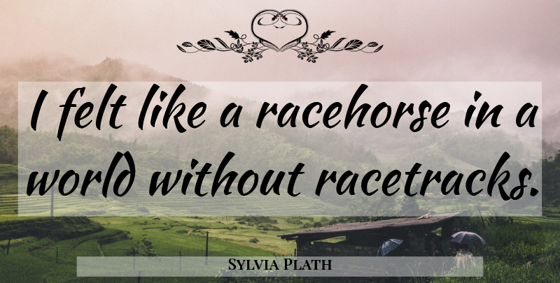 Sylvia Plath Quote About World, Racehorses, Most Heartfelt: I Felt Like A Racehorse...