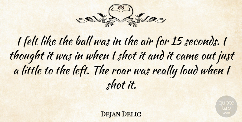 Dejan Delic Quote About Air, Ball, Came, Felt, Loud: I Felt Like The Ball...