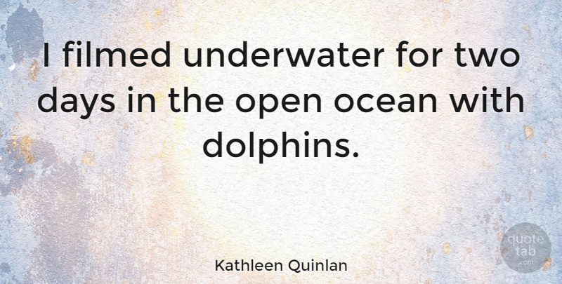 Kathleen Quinlan Quote About Ocean, Two, Dolphins: I Filmed Underwater For Two...