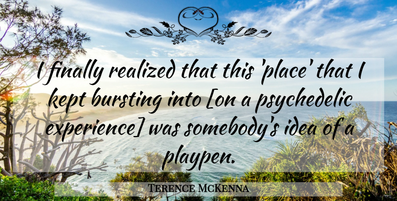 Terence McKenna Quote About Ideas, Psychedelic, Bursting: I Finally Realized That This...