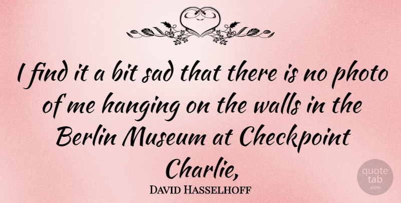 David Hasselhoff Quote About Wall, Photo Of Me, Museums: I Find It A Bit...