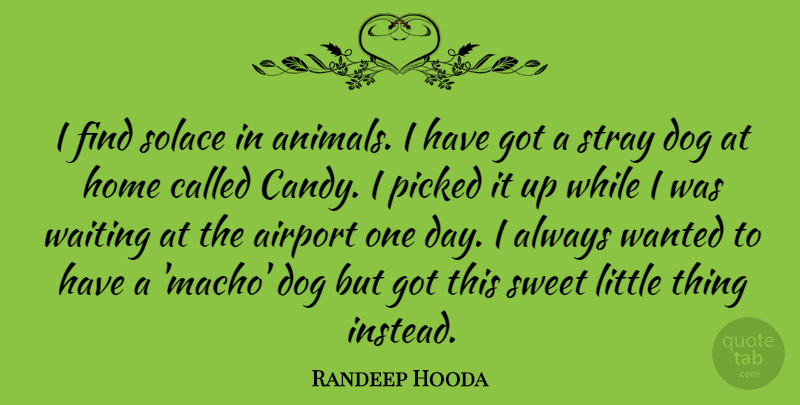 Randeep Hooda Quote About Sweet, Dog, Home: I Find Solace In Animals...